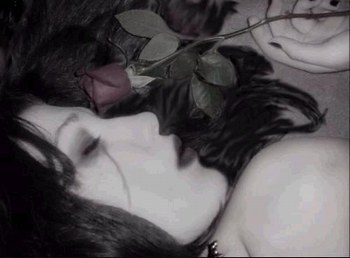 La belle rose et mintenan fanner