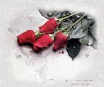 Fleur j'adores !!!!!!!!!!!!!!!